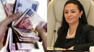 معاش شهري لمستحقيها.. شروط تأمين الدخل للسيدات غير العاملات وفق القانون الجديد